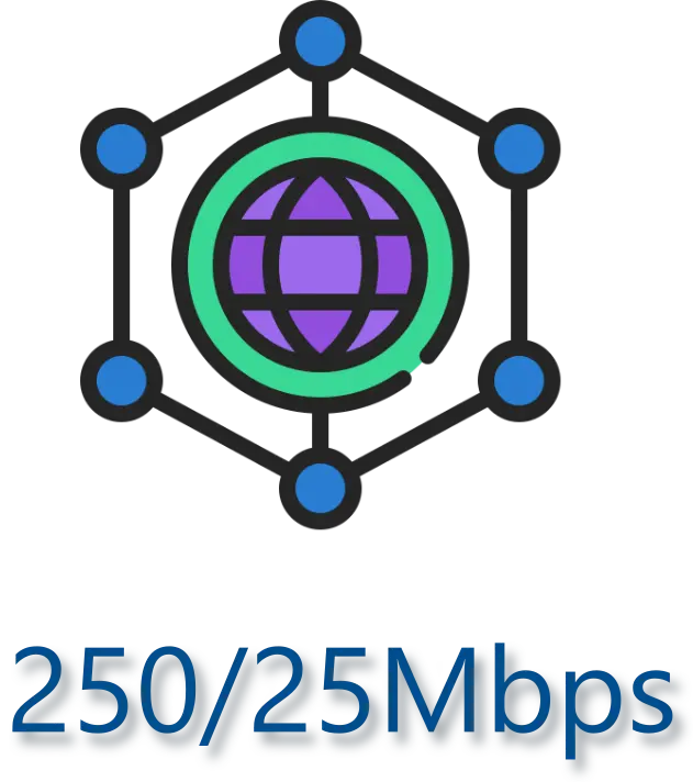 [INTERNET BUSINESS - 250/25MBPS] Internet Business - 250/25Mbps