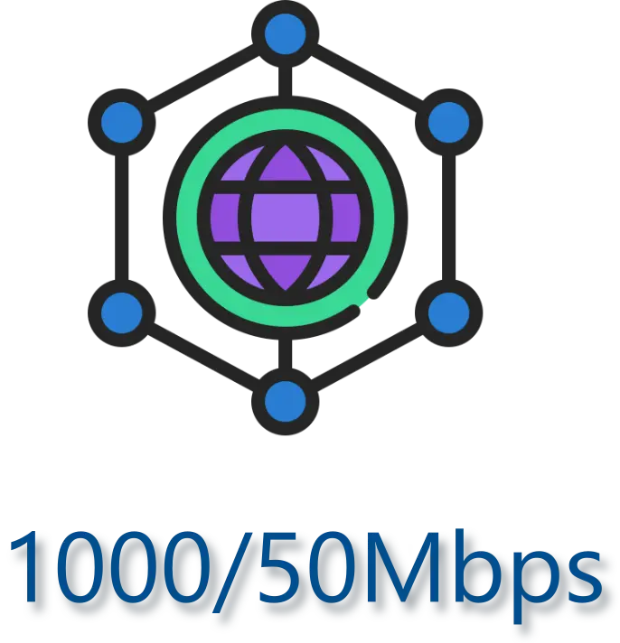 INTERNET BUSINESS - 1000/100MBPS
